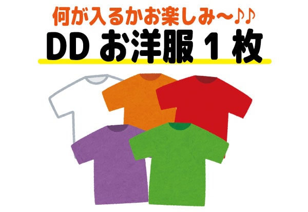 何が入るかお楽しみ♪　DDお洋服1枚
