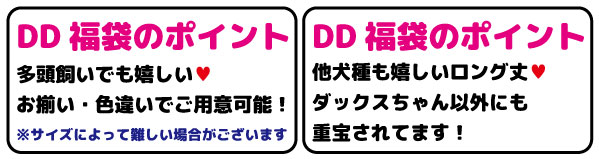 DD福袋のポイント・多頭飼いでも嬉しい！お揃い・色違いでご用意可能！※サイズによって難しい場合がございます。・他犬種も嬉しいロング丈！ダックスちゃん以外にも重宝されてます！