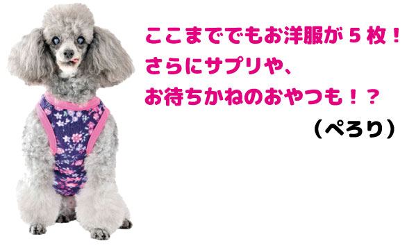 ここまででもお洋服は5枚！さらにサプリやお待ちかねのおやつも！？