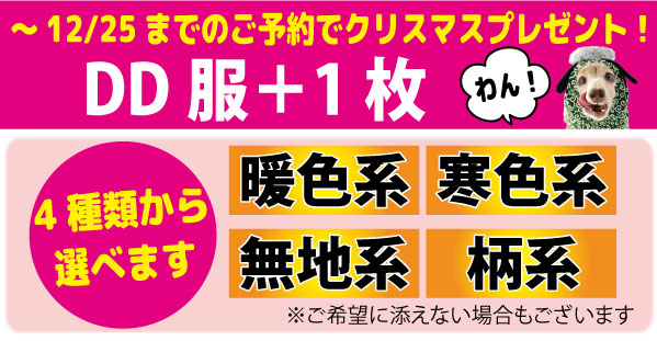 ～12/25までのご予約でクリスマスプレゼント！DD服+1枚　4種類から選べます・暖色系・寒色系・無地系・柄系