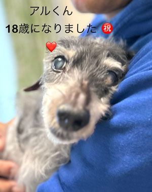 ~j`A_bNX̎ʐ^