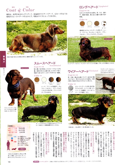 日本と世界の犬のカタログ