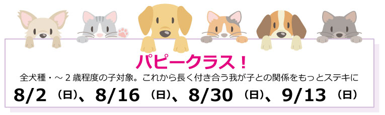コミュニケーション教室 詳細イメージ2