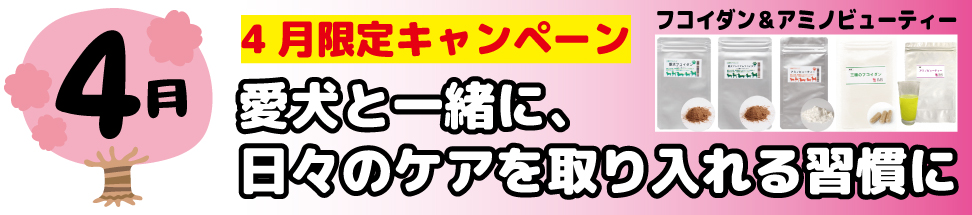 公式オンラインショップ