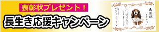 公式オンラインショップ