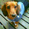 yddaq`05