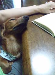 ~j`A_bNX@ʐ^