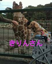 ~j`A_bNX@ʐ^