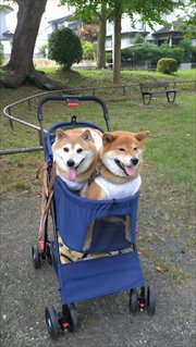 �~�j�`���A�_�b�N�X�@�ʐ^