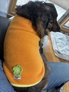 �~�j�`���A�_�b�N�X�@�ʐ^