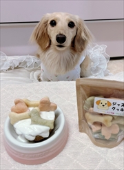 ~j`A_bNX@ʐ^