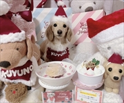 �~�j�`���A�_�b�N�X�@�ʐ^