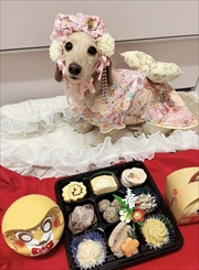 �~�j�`���A�_�b�N�X�@�ʐ^