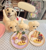 �~�j�`���A�_�b�N�X�@�ʐ^