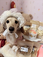 �~�j�`���A�_�b�N�X�@�ʐ^