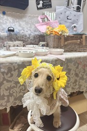 �~�j�`���A�_�b�N�X�@�ʐ^
