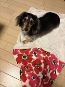 �~�j�`���A�_�b�N�X�@�ʐ^