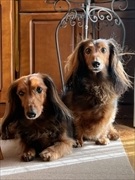 �~�j�`���A�_�b�N�X�@�ʐ^