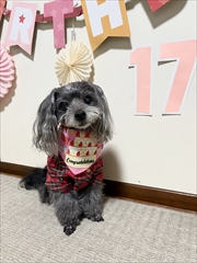 �~�j�`���A�_�b�N�X�@�ʐ^