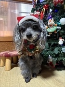 �~�j�`���A�_�b�N�X�@�ʐ^