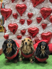 �~�j�`���A�_�b�N�X�@�ʐ^