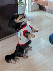 �~�j�`���A�_�b�N�X�@�ʐ^