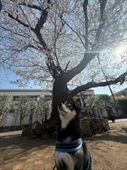 �~�j�`���A�_�b�N�X�@�ʐ^