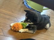 �~�j�`���A�_�b�N�X�@�ʐ^