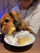 �~�j�`���A�_�b�N�X�@�ʐ^
