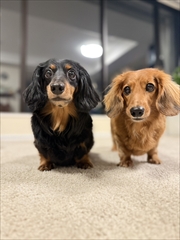 �~�j�`���A�_�b�N�X�@�ʐ^