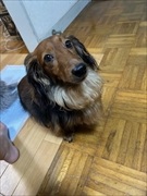 �~�j�`���A�_�b�N�X�@�ʐ^