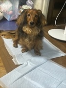 �~�j�`���A�_�b�N�X�@�ʐ^