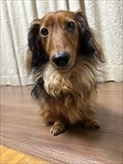 �~�j�`���A�_�b�N�X�@�ʐ^