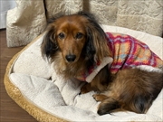 �~�j�`���A�_�b�N�X�@�ʐ^