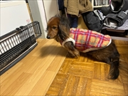 �~�j�`���A�_�b�N�X�@�ʐ^