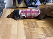 �~�j�`���A�_�b�N�X�@�ʐ^