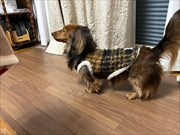 �~�j�`���A�_�b�N�X�@�ʐ^