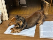 �~�j�`���A�_�b�N�X�@�ʐ^