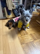 �~�j�`���A�_�b�N�X�@�ʐ^