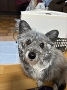 �~�j�`���A�_�b�N�X�@�ʐ^