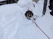 �~�j�`���A�_�b�N�X�@�ʐ^