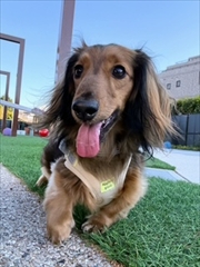 �~�j�`���A�_�b�N�X�@�ʐ^