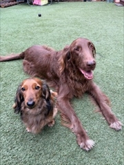 �~�j�`���A�_�b�N�X�@�ʐ^