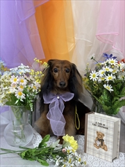 �~�j�`���A�_�b�N�X�@�ʐ^