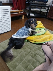 �~�j�`���A�_�b�N�X�@�ʐ^