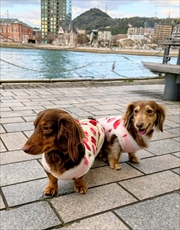 �~�j�`���A�_�b�N�X�@�ʐ^