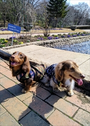 �~�j�`���A�_�b�N�X�@�ʐ^