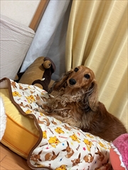 �~�j�`���A�_�b�N�X�@�ʐ^