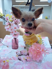 �~�j�`���A�_�b�N�X�@�ʐ^