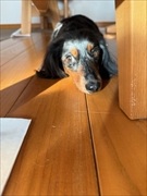 �~�j�`���A�_�b�N�X�@�ʐ^